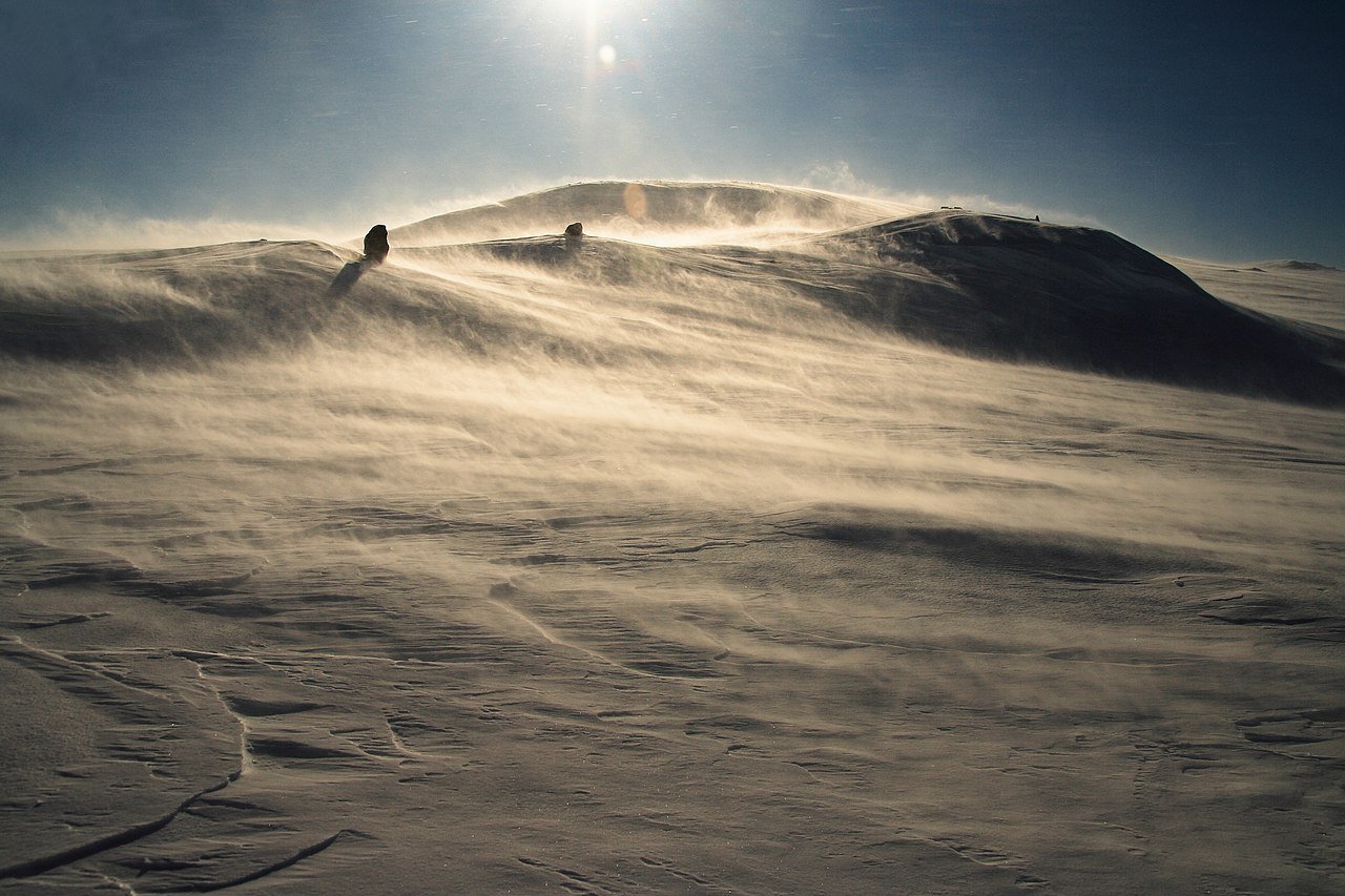 Zamieć śnieżna niska przy bezchmurnej pogodzie. Płaskowyż Hardangervidda, Norwegia. źródło: Wikipedia
