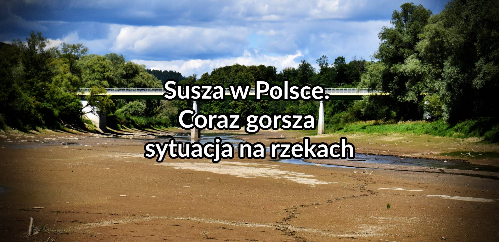 Susza w Polsce. Coraz gorsza sytuacja na rzekach