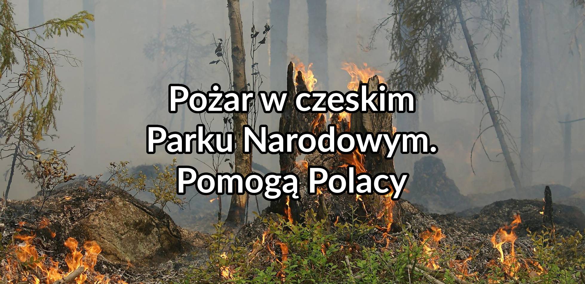 Pożar w czeskim parku narodowym. Pomogą Polacy