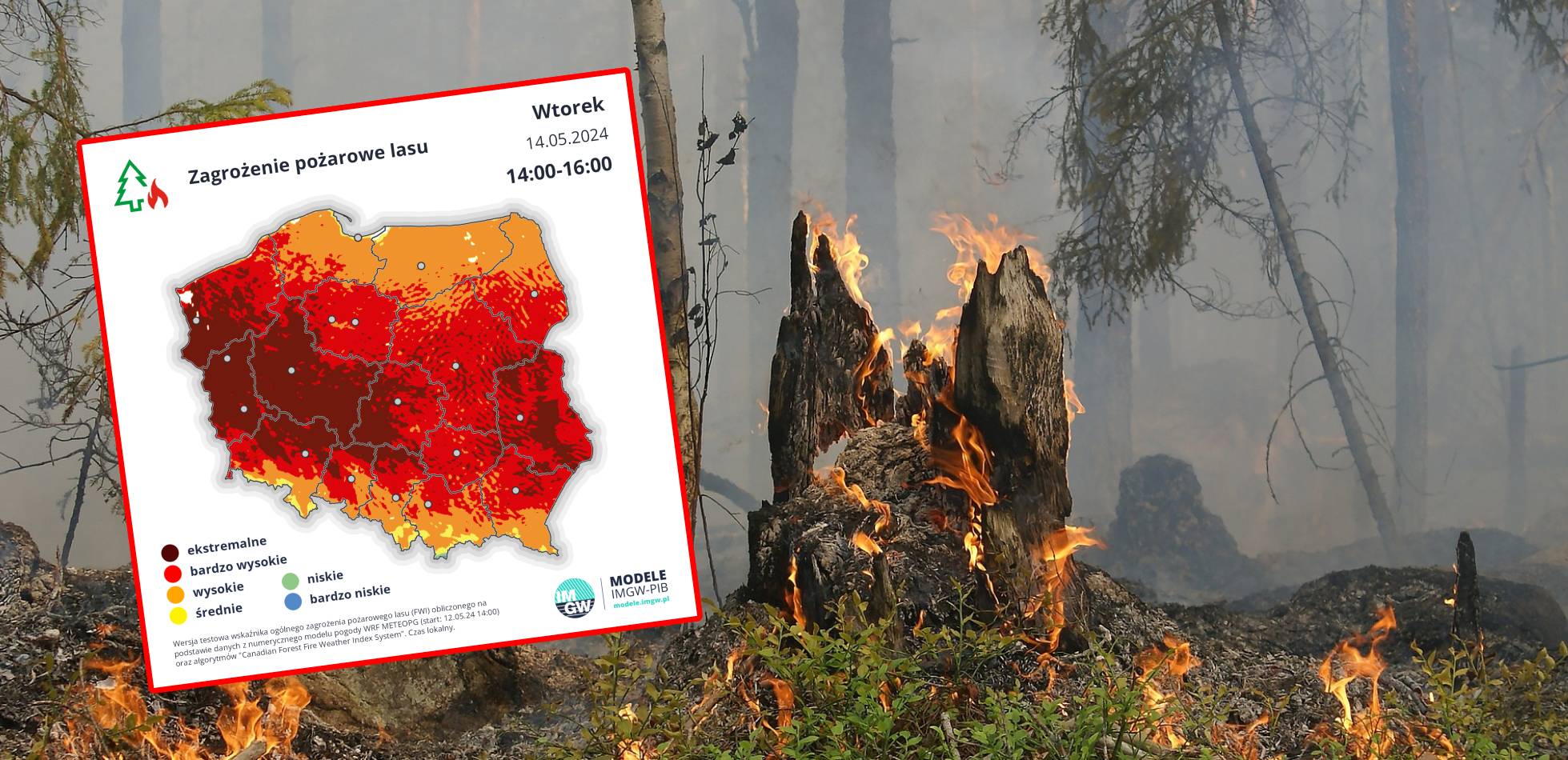 Ekstremalne zagrożenie pożarowe w lasach. Najbliższe dni bez opadów